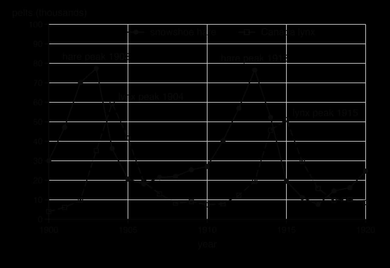 Hudson's Bay Company pelts (thousands), 1900–1920: snowshoe hare peaks at 77.4 in 1903 and 76.6 in 1913; Canada lynx peaks at 59.4 in 1904 and 51.1 in 1915, a year or two after each hare peak.