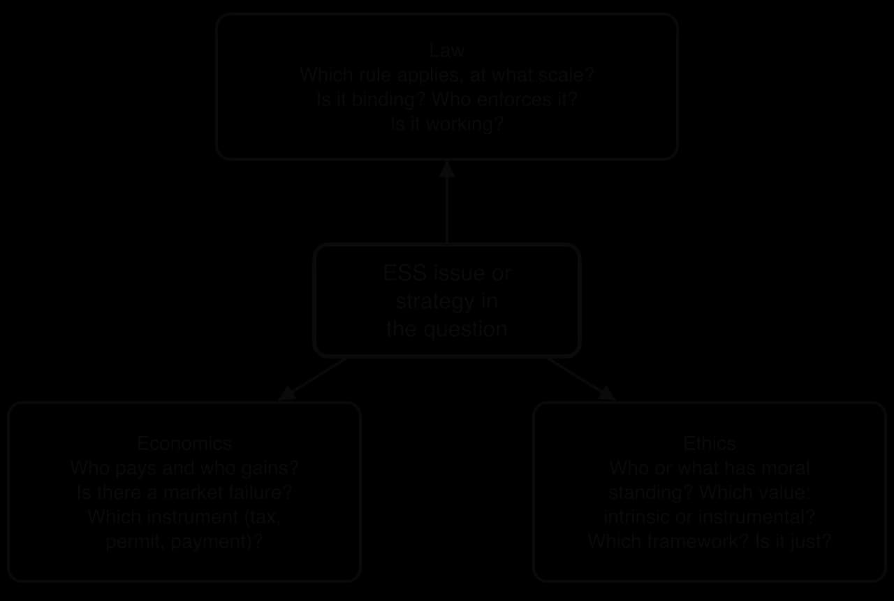 An ESS issue in the centre with three HL lenses around it. Law: which rule, what scale, binding, enforced, working? Economics: who pays and gains, market failure, which instrument? Ethics: moral standing, intrinsic or instrumental value, framework, justice?