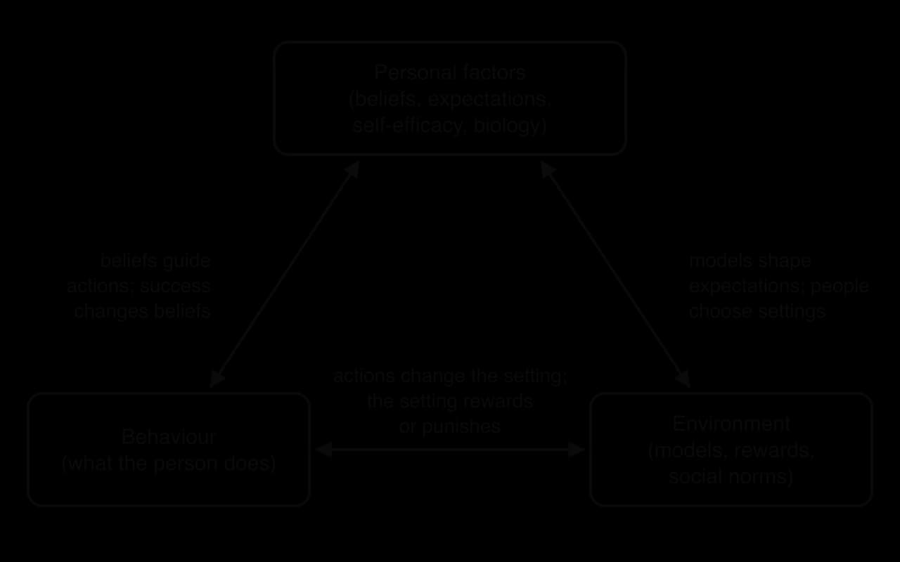 Triangle diagram of reciprocal determinism: personal factors (beliefs, expectations, self-efficacy, biology), behaviour and environment (models, rewards, social norms), joined by two-way arrows showing that each influences the other two.