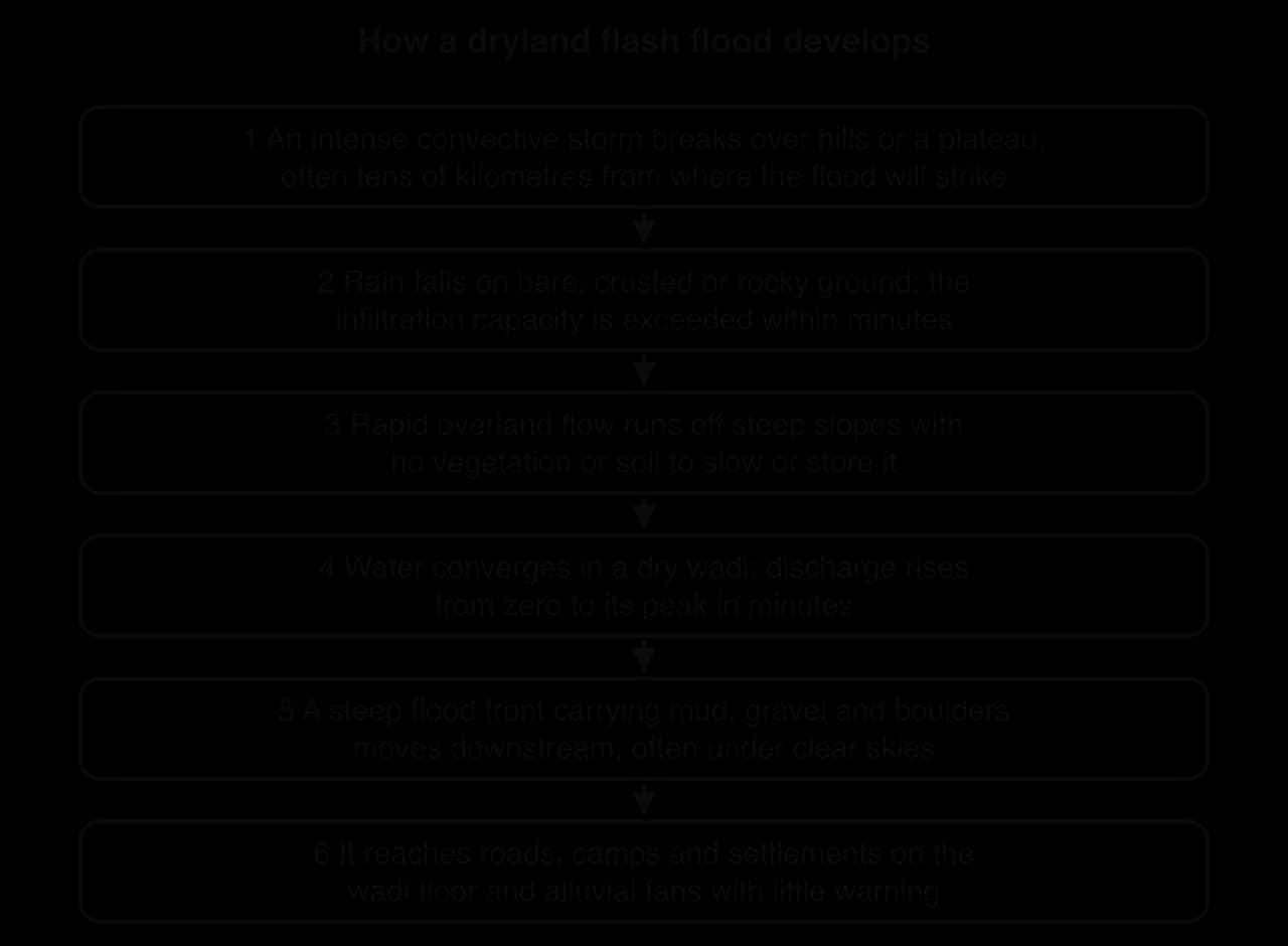 Flow chart in six steps: intense convective storm over hills; rain on bare, crusted or rocky ground exceeds infiltration capacity; rapid overland flow off steep slopes; water converges in a dry wadi; a steep flood front with sediment moves downstream; it reaches settlements with little warning.
