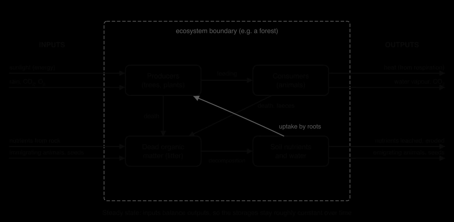 Systems diagram of a forest ecosystem in a dashed boundary: producers, consumers, dead organic matter and soil nutrients linked by feeding, death, decomposition and uptake; inputs of sunlight, rain, nutrients and migrants; outputs of heat, water vapour, leached nutrients and emigrants.
