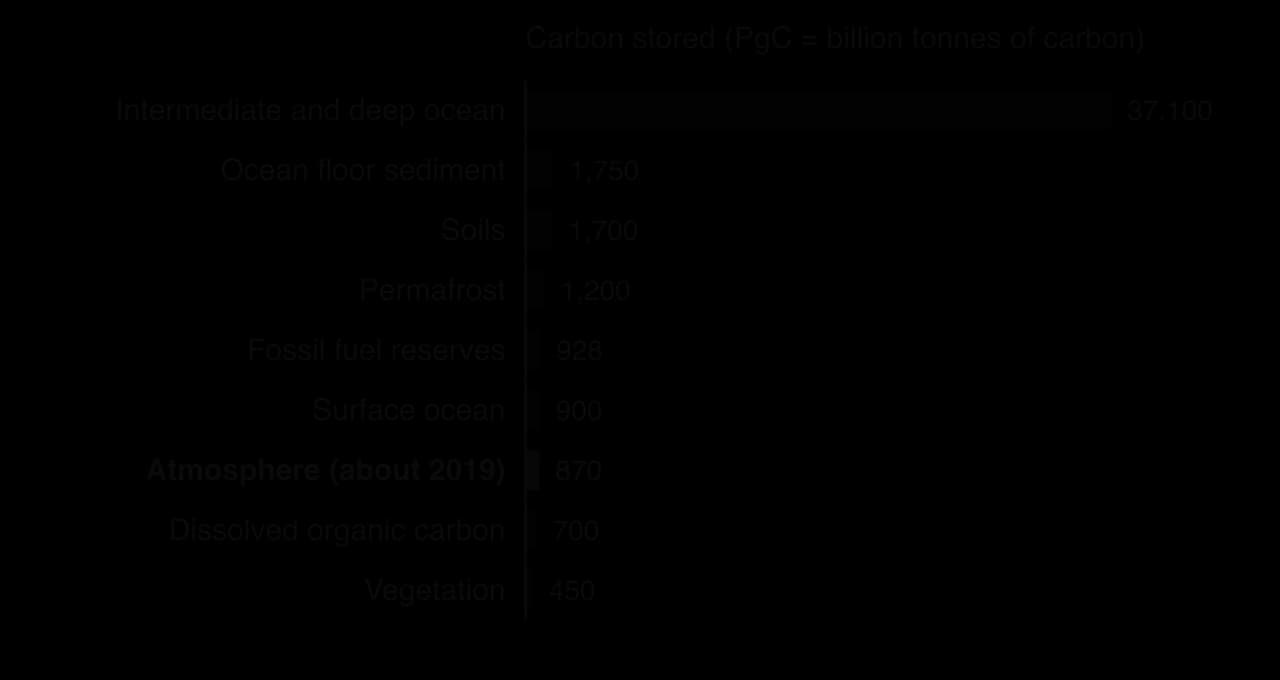 Bar chart of carbon stores in PgC: deep ocean 37,100; ocean floor sediment 1,750; soils 1,700; permafrost 1,200; fossil fuel reserves 928; surface ocean 900; atmosphere 870; dissolved organic carbon 700; vegetation 450.