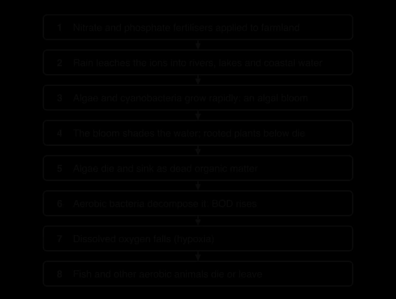 Flow chart of eight steps: fertilisers applied; rain leaches ions into water; algal bloom; bloom shades water and rooted plants die; algae die and sink; aerobic bacteria decompose them and BOD rises; dissolved oxygen falls; fish and aerobic animals die or leave.