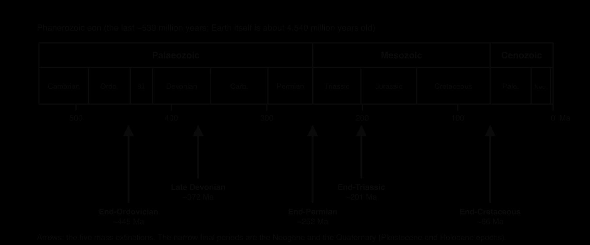 Timeline of the Phanerozoic eon from 539 million years ago: Palaeozoic, Mesozoic and Cenozoic eras and their periods from Cambrian to Quaternary, with arrows marking the five mass extinctions at about 445, 372, 252, 201 and 66 million years ago.