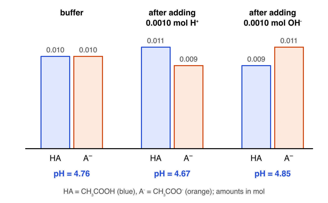 Bar charts of the amounts of CH3COOH and CH3COO− in 100 cm³ of buffer. Initially 0.010 mol of each, pH 4.76. After adding 0.0010 mol H+: 0.011 mol acid and 0.009 mol ion, pH 4.67. After adding 0.0010 mol OH−: 0.009 mol acid and 0.011 mol ion, pH 4.85.