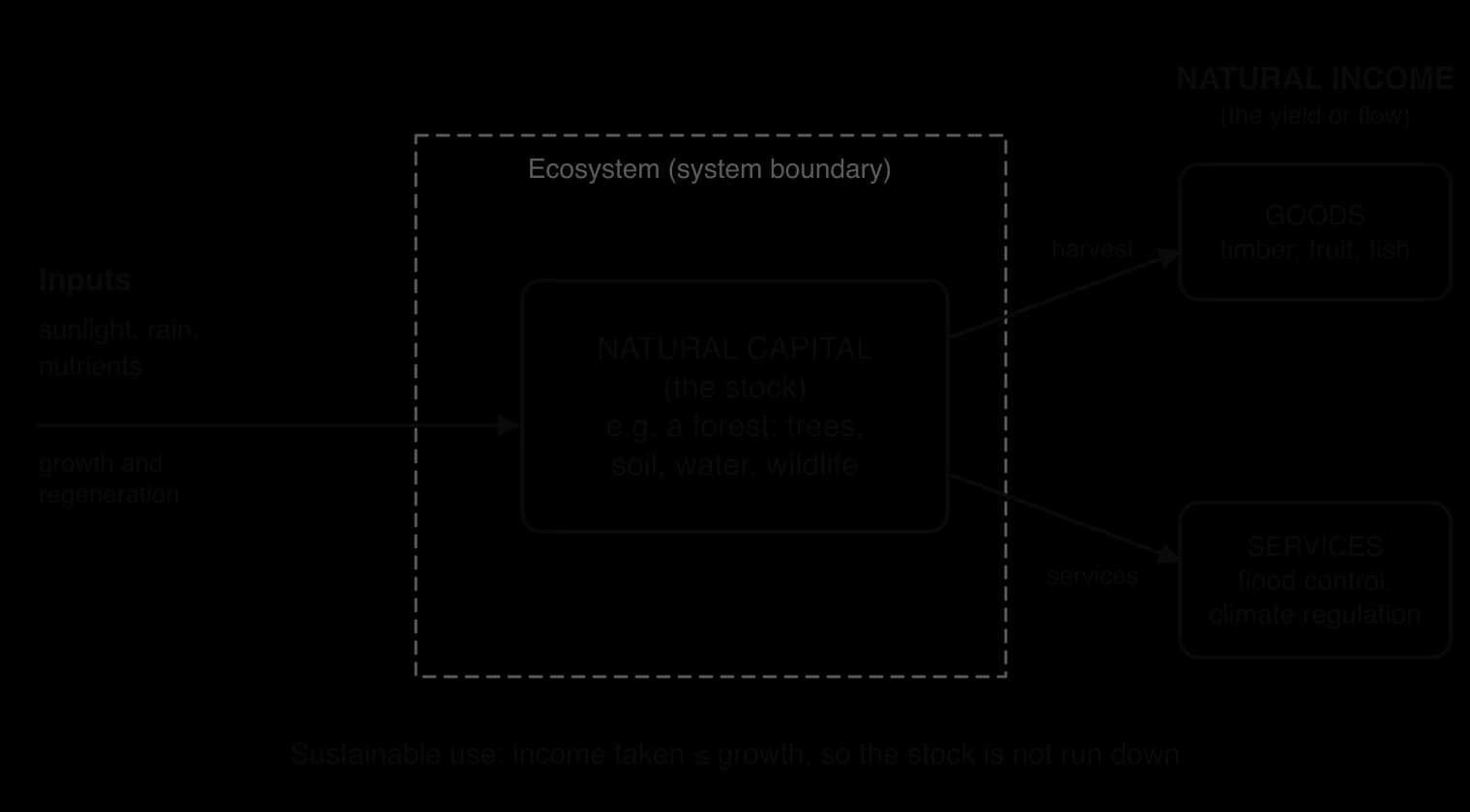 Systems diagram: inputs of sunlight, rain and nutrients enter a natural capital stock (a forest) inside a dashed ecosystem boundary; outputs flow to natural income as goods (timber, fruit, fish) and services (flood control, climate regulation).