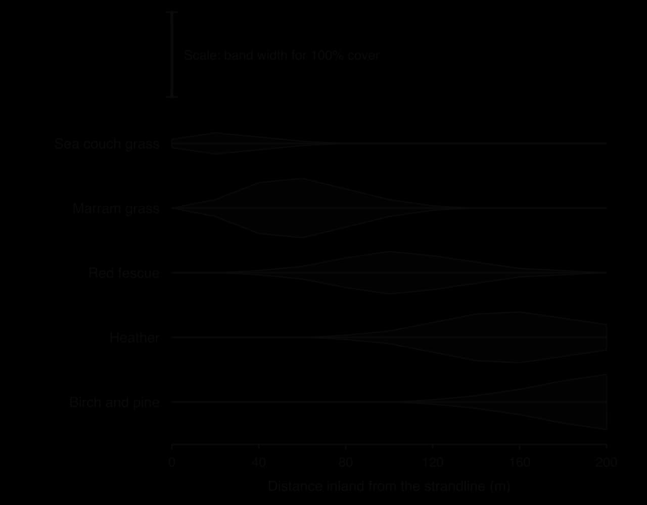 Kite diagram along a 200 m dune transect: sea couch grass near the strandline, marram grass peaking at 70% at 60 m, red fescue peaking at 100 m, heather peaking at 160 m, birch and pine increasing to 65% at 200 m.