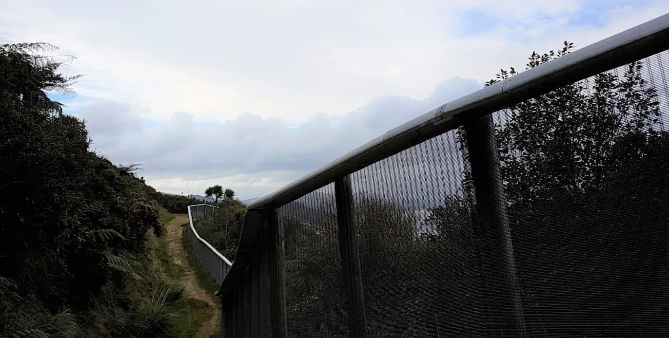 A tall fine-mesh steel fence with a curved metal cap runs along a forested hillside track at Zealandia, Wellington, keeping introduced mammal predators out of the sanctuary.