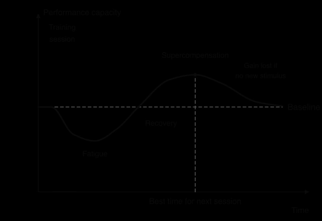 Sketch of performance capacity against time. After a training session capacity falls below the dashed baseline (fatigue), recovers, rises above it (supercompensation, peak marked as the best time for the next session), then falls back to baseline if no new stimulus.