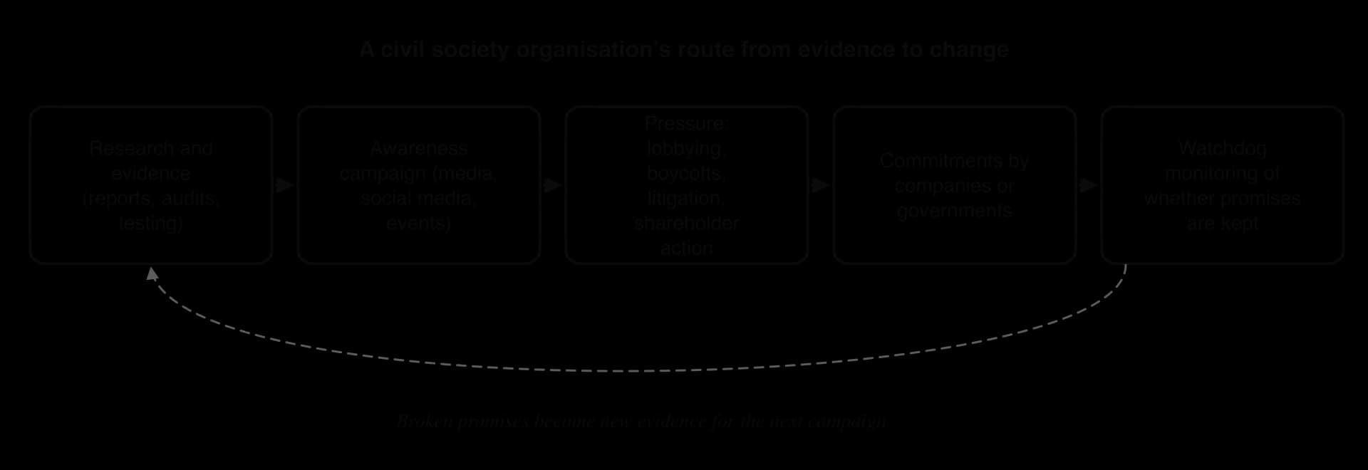 Flow chain of a civil society campaign: research and evidence, awareness campaign, pressure through lobbying, boycotts, litigation and shareholder action, commitments by companies or governments, watchdog monitoring, with a dashed arrow back to evidence.
