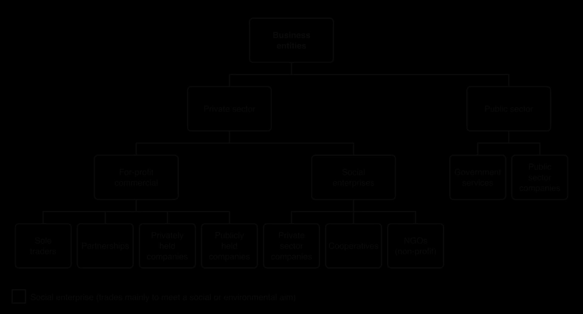Tree of business entities: private sector splits into for-profit commercial (sole traders, partnerships, privately held and publicly held companies) and social enterprises (private sector companies, cooperatives, NGOs); public sector into government services and public sector companies.