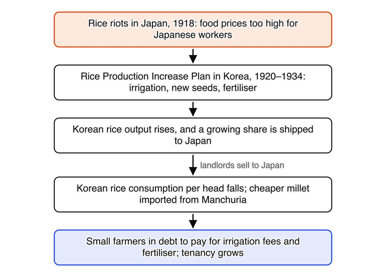 Chain: rice riots in Japan in 1918 lead to the Rice Production Increase Plan in Korea, 1920–1934; Korean rice output rises and a growing share is shipped to Japan; Korean rice consumption per head falls and millet is imported from Manchuria; small farmers fall into debt and tenancy grows.