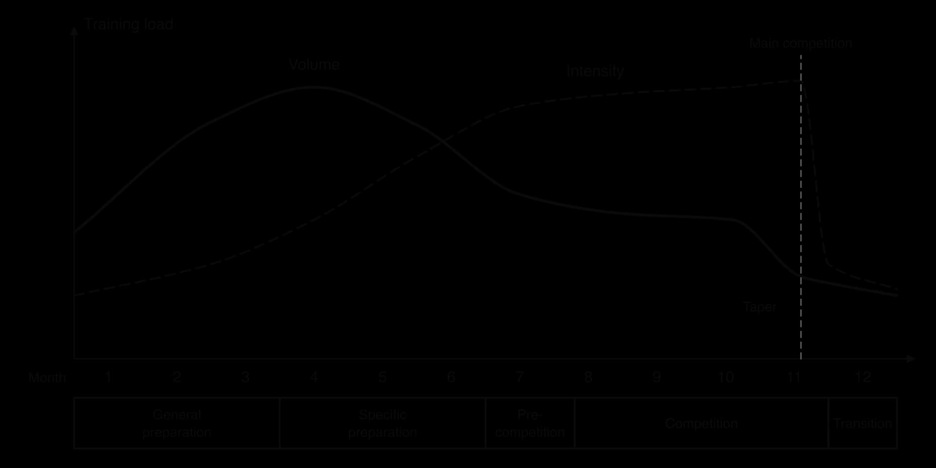 Sketch of training load over a 12-month macrocycle. Volume (solid) peaks in month 4 then falls; intensity (dashed) rises to stay high through competition; volume drops in a taper before the main competition. Phases: general and specific preparation, pre-competition, competition, transition.
