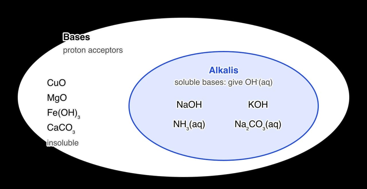 A large ellipse labelled Bases (proton acceptors) contains insoluble bases CuO, MgO, Fe(OH)3 and CaCO3. Inside it a smaller blue ellipse labelled Alkalis (soluble bases that give OH− in water) holds NaOH, KOH, NH3(aq) and Na2CO3(aq).