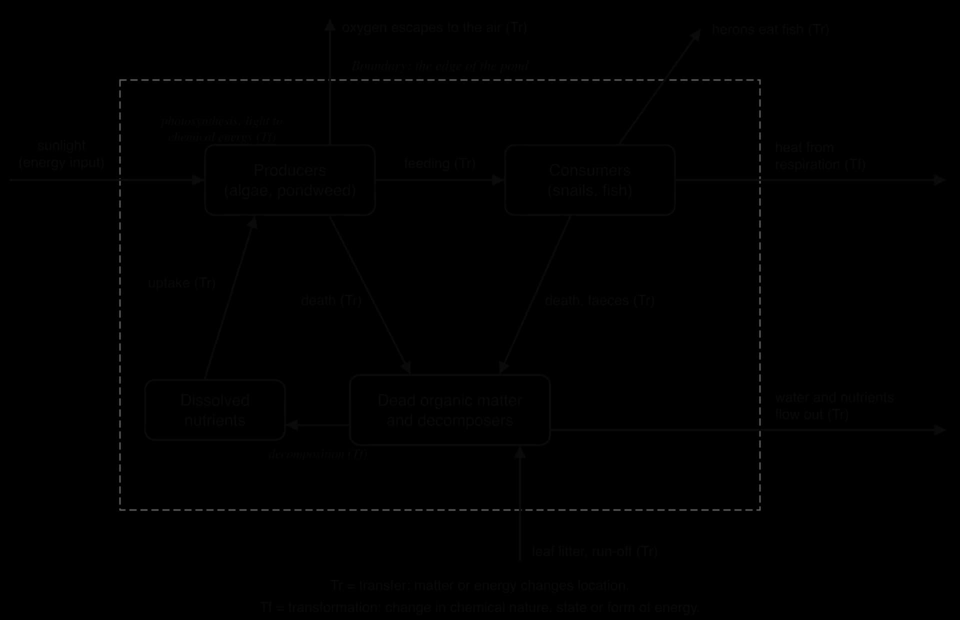 Pond systems diagram. Storages: producers, consumers, dead organic matter, dissolved nutrients. Flows marked transfer or transformation: feeding, death, decomposition, uptake, photosynthesis. Inputs: sunlight, leaf litter. Outputs: heat, oxygen, water, fish eaten by herons.