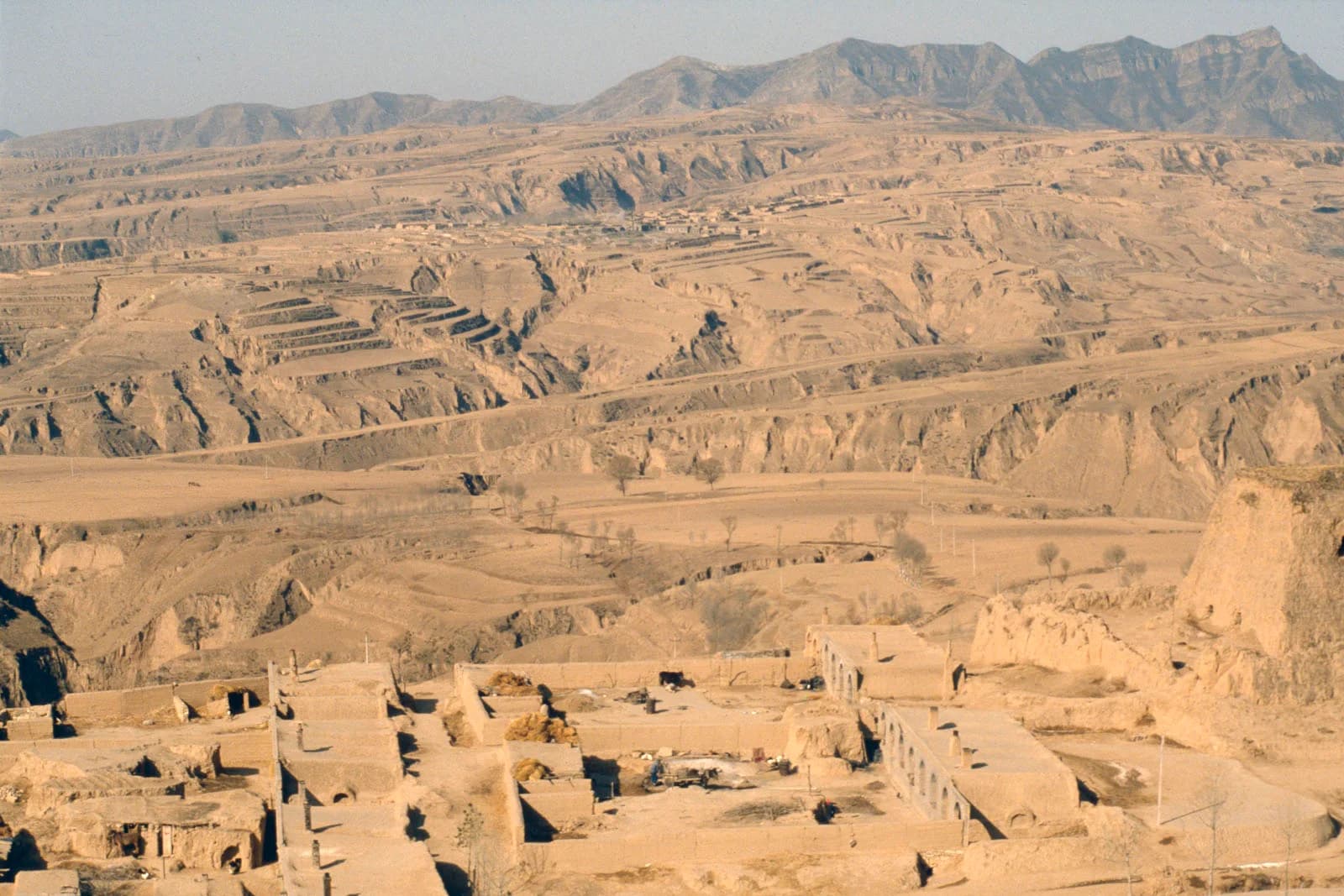 Loess Plateau landscape in China: bare yellow-brown silt hills cut by deep gullies, with stepped terraced fields on the slopes, a village of houses built into the loess in the foreground and mountains behind.