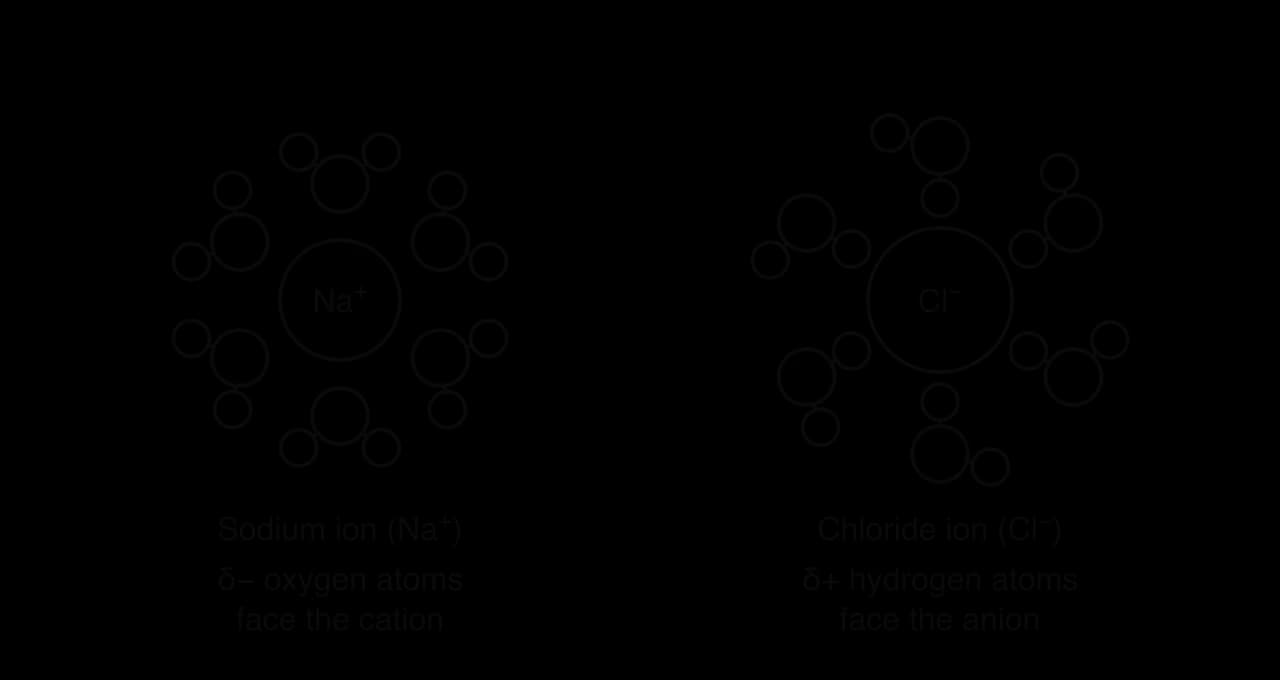 Left: a sodium ion surrounded by six water molecules, each with its oxygen atom facing the ion. Right: a chloride ion surrounded by six water molecules, each with one hydrogen atom facing the ion. Labels: δ− oxygen atoms face the cation; δ+ hydrogen atoms face the anion.