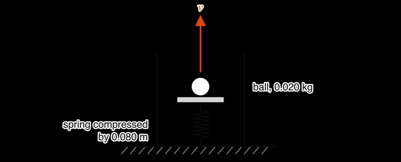 A vertical spring launcher: a spring compressed by 0.080 m inside a tube, with a platform on top and a 0.020 kg ball resting on it. An orange arrow above the ball shows its upward velocity after release.