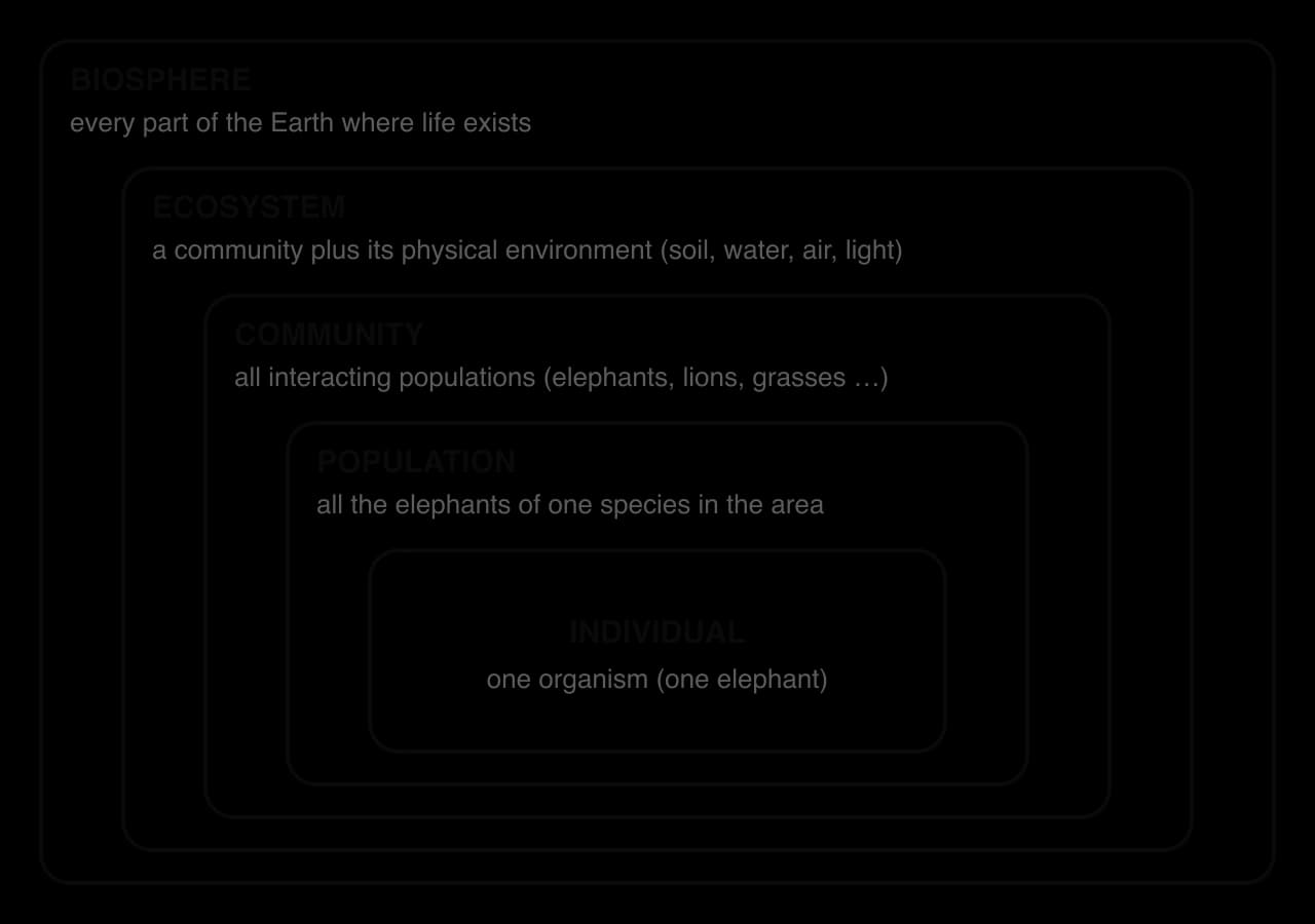 Nested boxes showing levels of ecological organisation: an individual (one elephant) inside a population (all the elephants of one species in the area), inside a community, inside an ecosystem, inside the biosphere.