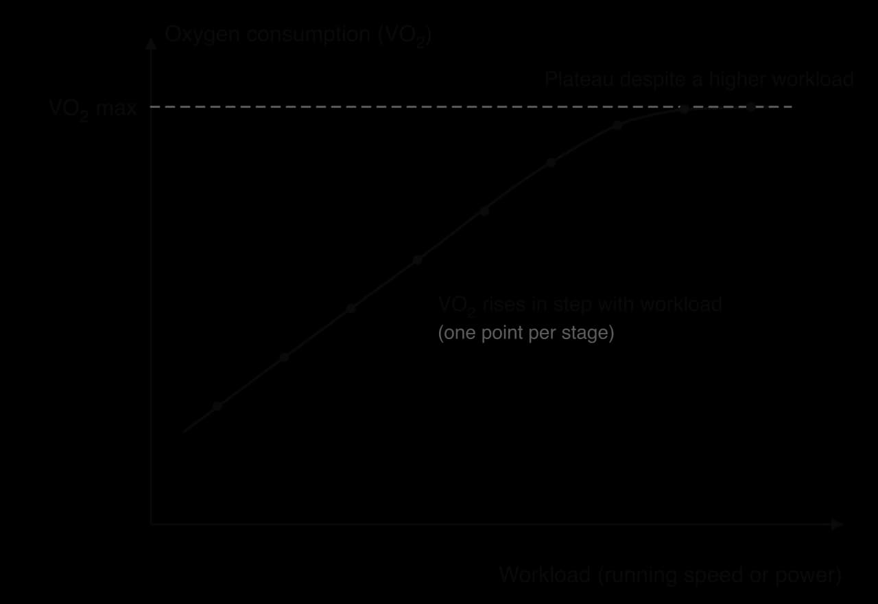 Sketch graph of oxygen consumption against workload in a graded test. VO2 rises in a straight line with each stage, then levels off in a plateau despite a higher workload. The plateau value is labelled VO2 max.