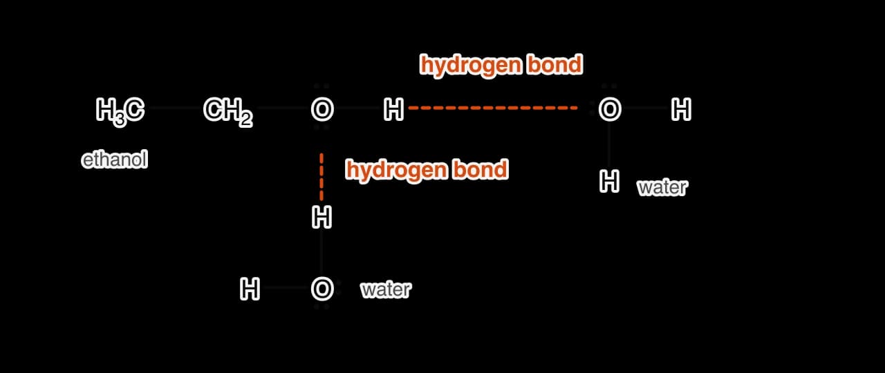 An ethanol molecule hydrogen bonded to two water molecules: the H of ethanol’s O–H group bonds to a lone pair on one water molecule, and an H of a second water molecule bonds to a lone pair on ethanol’s oxygen atom. Hydrogen bonds are orange dashed lines.
