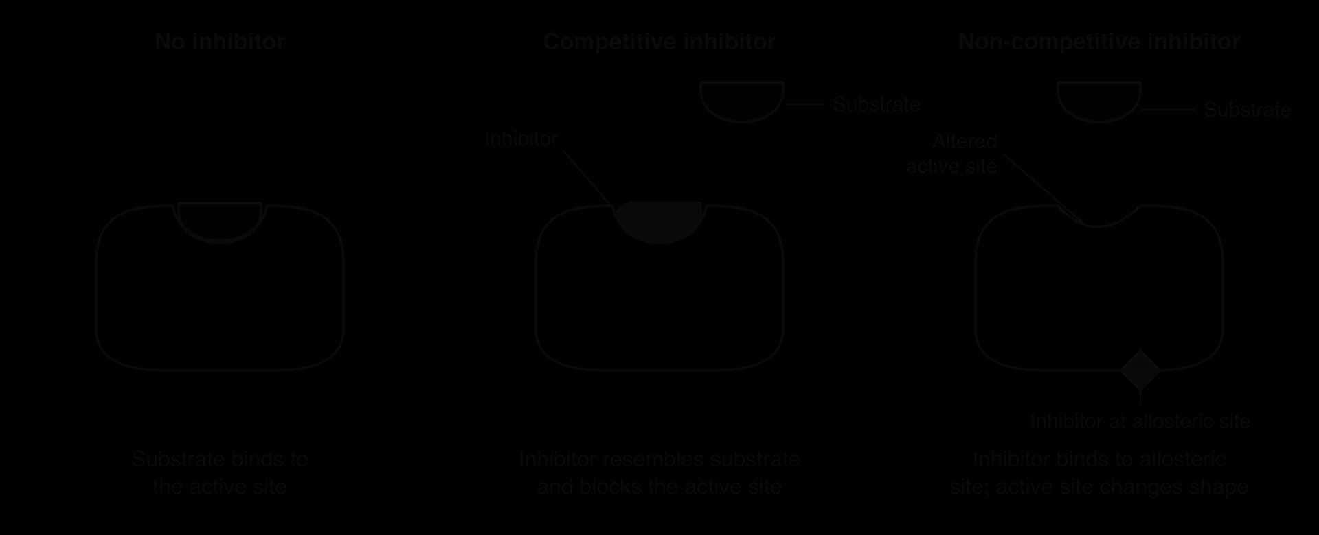 Three enzymes. No inhibitor: substrate in the active site. Competitive inhibitor: a molecule resembling the substrate occupies the active site. Non-competitive inhibitor: a molecule at an allosteric site has altered the active site so the substrate no longer fits.