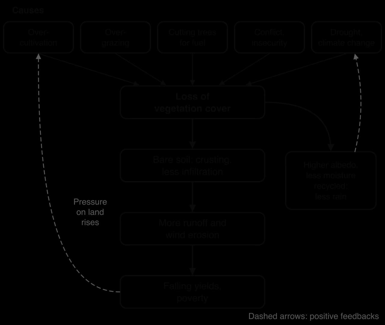 Flow diagram: overcultivation, overgrazing, cutting trees for fuel, conflict and drought cause loss of vegetation, then bare crusted soil, more runoff and wind erosion, falling yields and poverty; dashed loops show higher albedo reducing rain and poverty raising pressure on land.