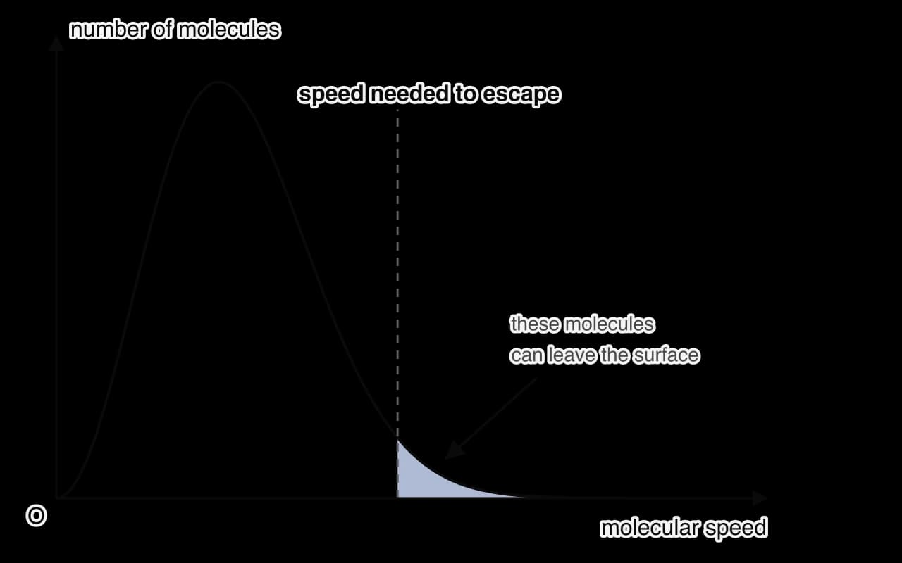 Sketch graph of number of molecules against molecular speed for a liquid: a skewed hump rising from zero, peaking, then tailing off. A dashed vertical line marks the speed needed to escape; the small shaded area to its right is labelled these molecules can leave the surface.