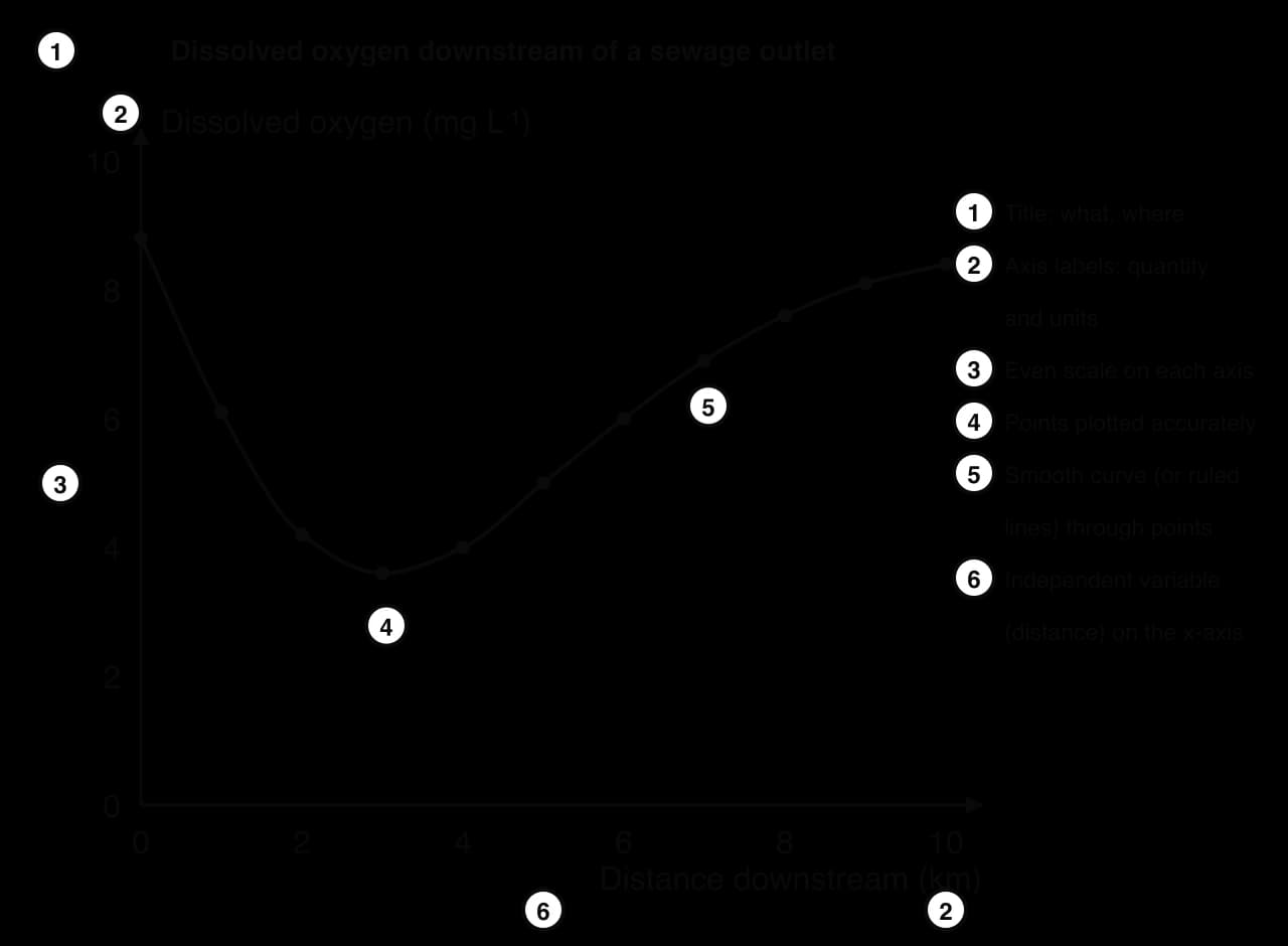 Line graph of dissolved oxygen (mg L⁻¹) against distance downstream of a sewage outlet (km), falling from 8.8 to 3.6 at 3 km and recovering to 8.4 at 10 km. Numbered tags mark title, axis labels with units, even scale, accurate points, smooth curve, x as independent variable.