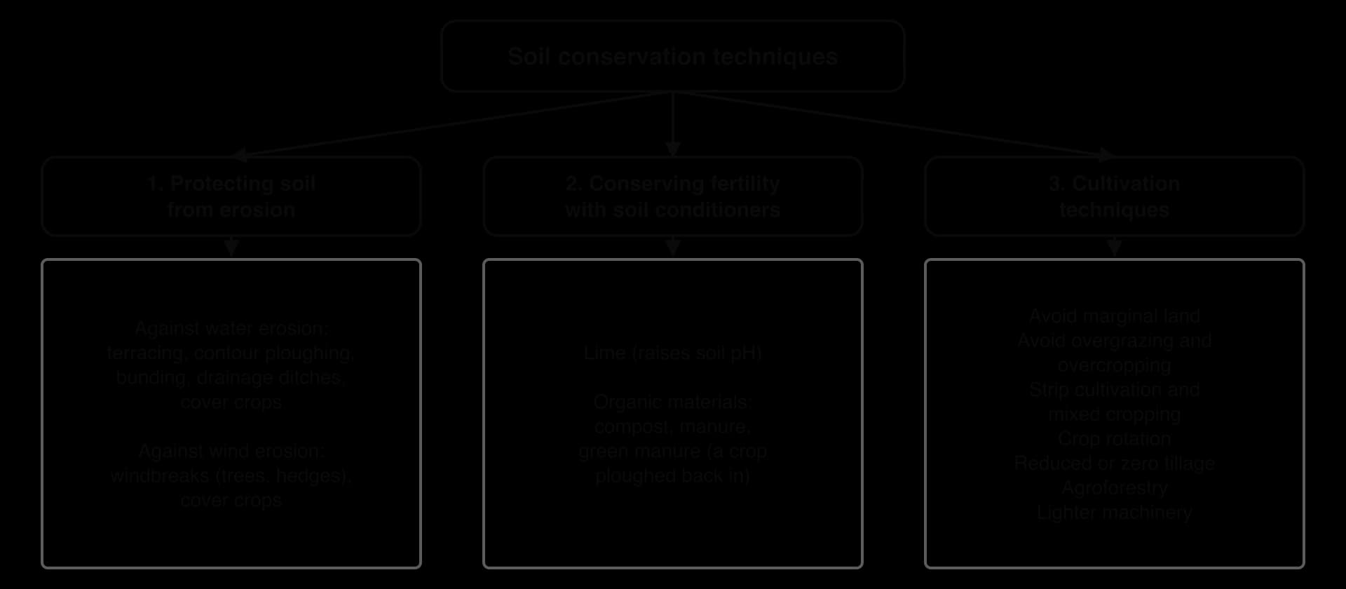 Tree diagram of soil conservation techniques in three groups: protection from water erosion (terracing, contour ploughing, bunding, drainage, cover crops) and wind erosion (windbreaks, cover crops); conserving fertility with lime and organic matter; and cultivation techniques such as crop rotation.