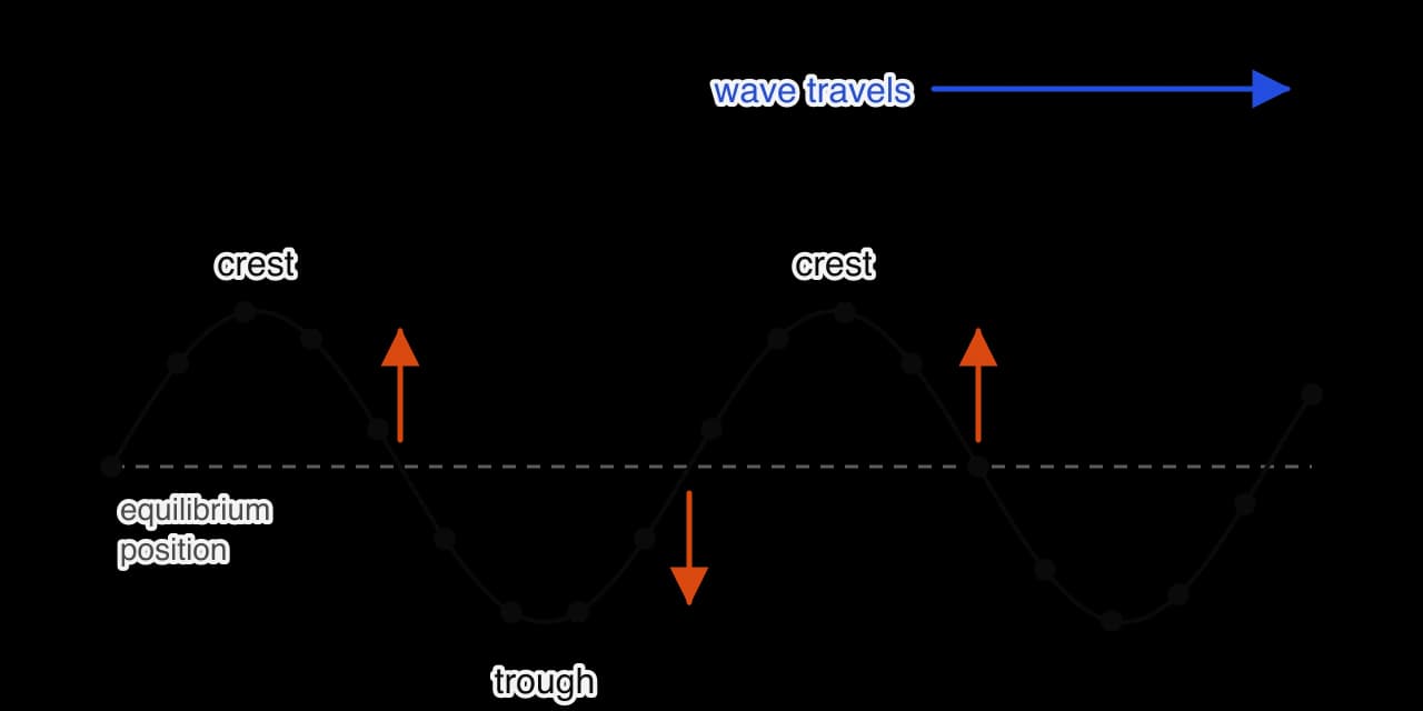 A snapshot of a transverse wave on a rope travelling to the right (blue arrow), with dots marking particles of the rope. Crests and a trough are labelled. Orange arrows at three points on the equilibrium line show particles moving up or down, perpendicular to the direction of travel.
