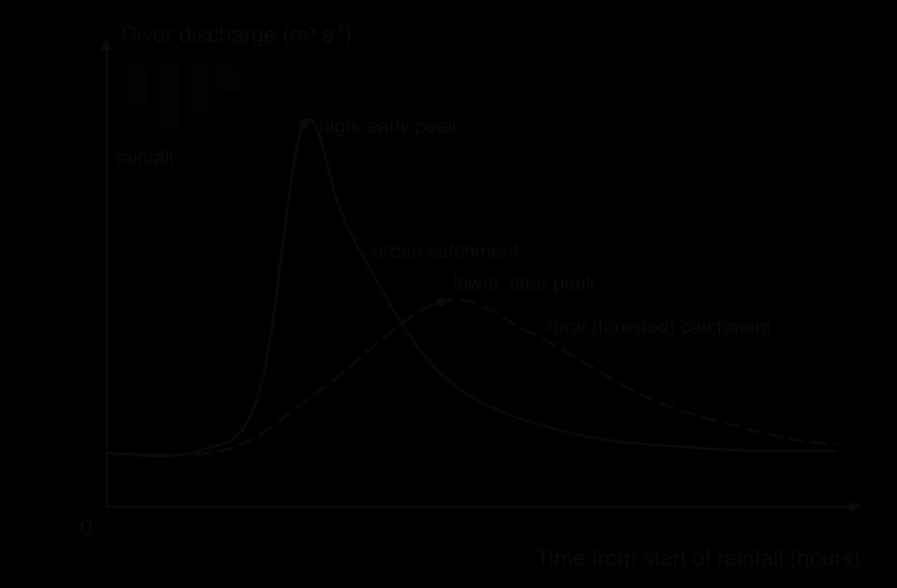 Model storm hydrographs after the same rainfall: the urban catchment has a high, early peak in river discharge; the rural forested catchment has a lower, later peak and a longer recession.