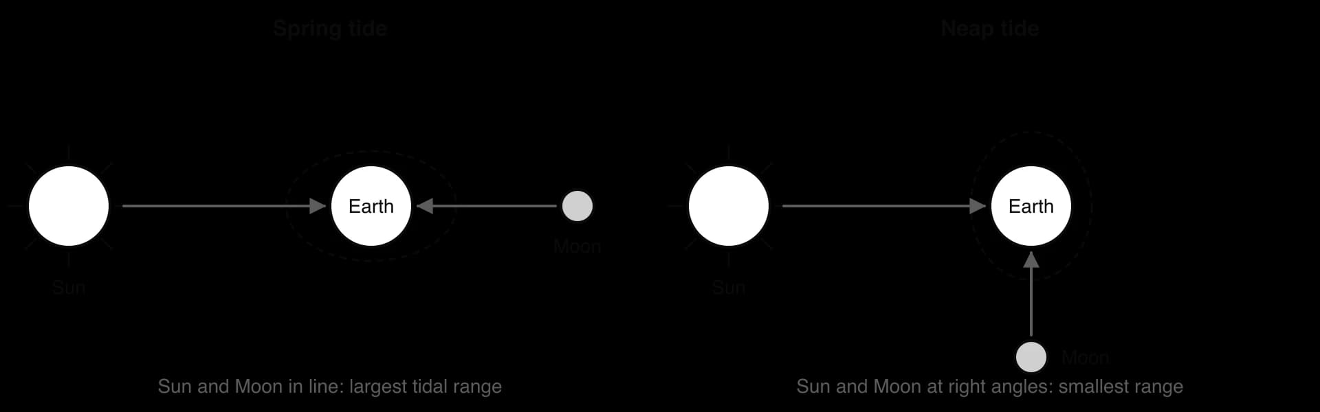 Two diagrams. Spring tide: Sun, Earth and Moon in a line, the Earth's tidal bulge elongated, largest tidal range. Neap tide: Moon at right angles to the Sun, smaller bulge, smallest tidal range.