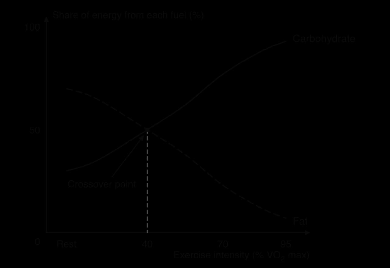Sketch graph of share of energy from each fuel (%) against exercise intensity (% VO2 max). Carbohydrate rises from about 30% at rest to over 90% near maximal intensity; fat falls from about 70% to under 10%. The lines cross at about 40% VO2 max.