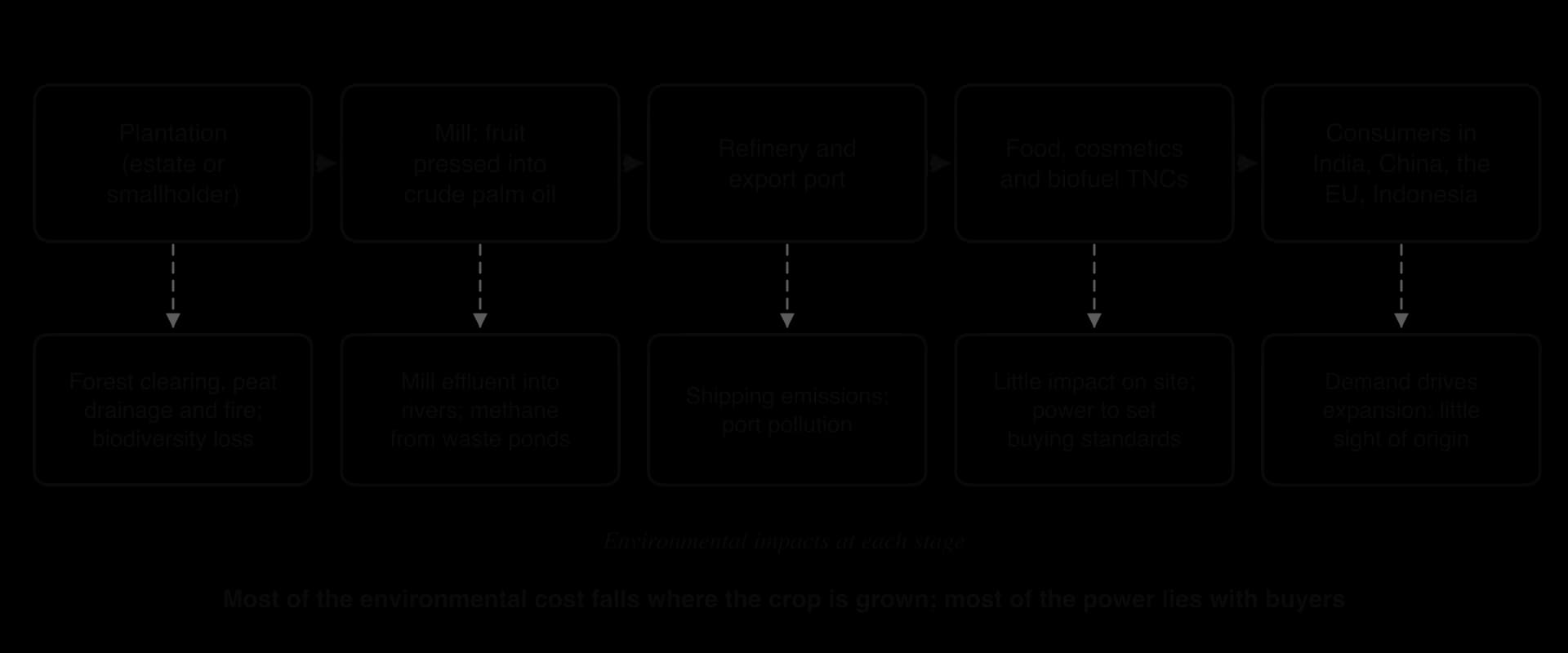 Palm oil supply chain: plantation, mill, refinery and port, consumer-goods TNCs, consumers in India, China, the EU and Indonesia; impacts under each: forest clearing, peat drainage and fire; mill effluent and methane; shipping and port pollution; buying standards; demand-driven expansion.