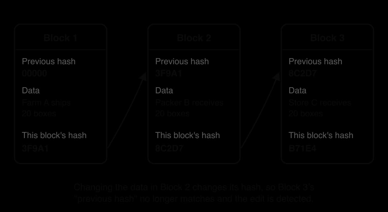 Three linked blocks, each holding the previous block's hash, data (Farm A ships, Packer B receives, Store C receives 20 boxes) and its own hash. Changing Block 2's data changes its hash, so Block 3's stored previous hash no longer matches.