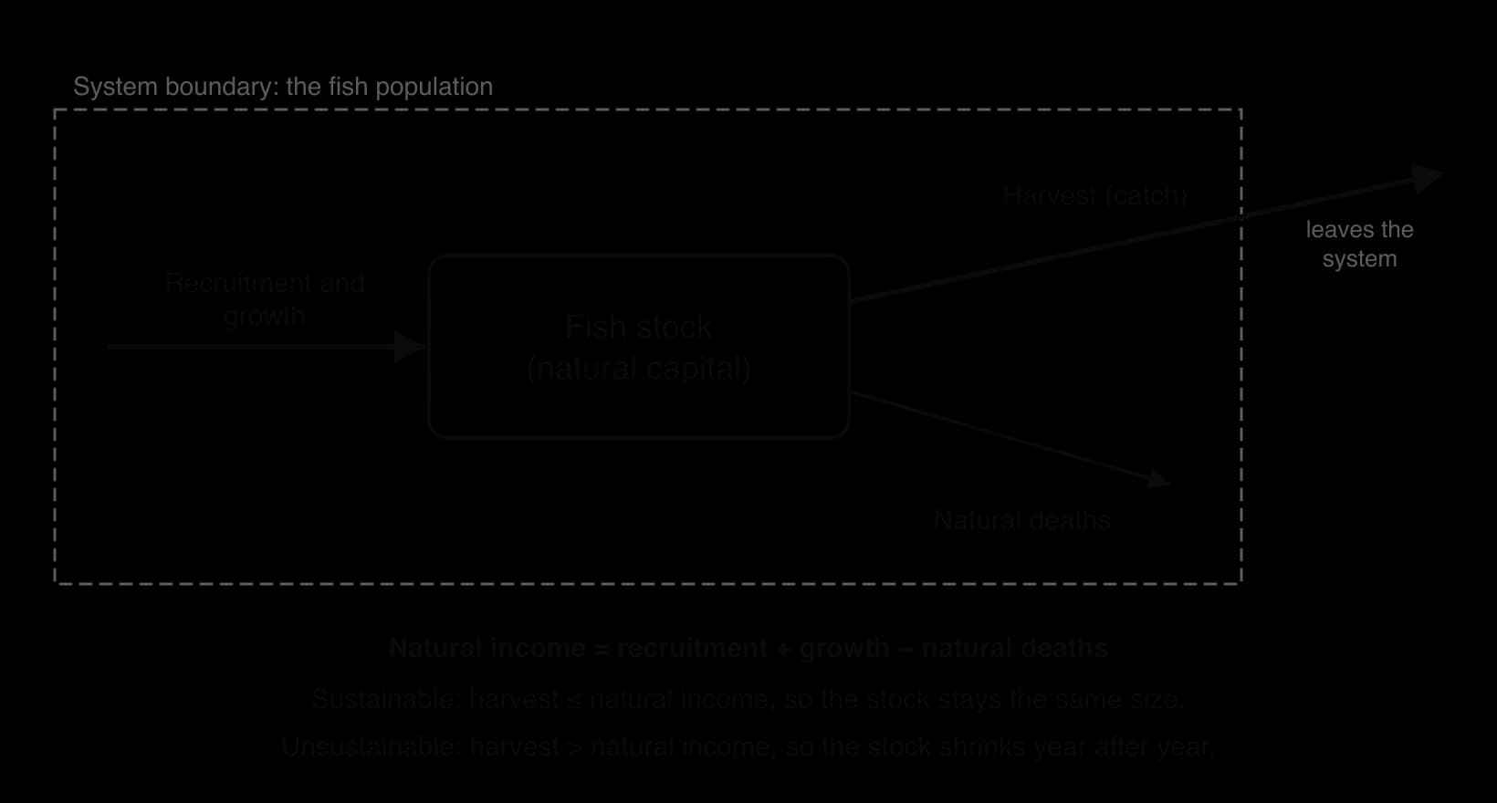 Systems diagram of a fish stock as a storage of natural capital. Input arrow: recruitment and growth. Outputs: harvest (crossing the system boundary) and natural deaths. Notes: natural income = recruitment + growth − natural deaths; harvest above natural income shrinks the stock.