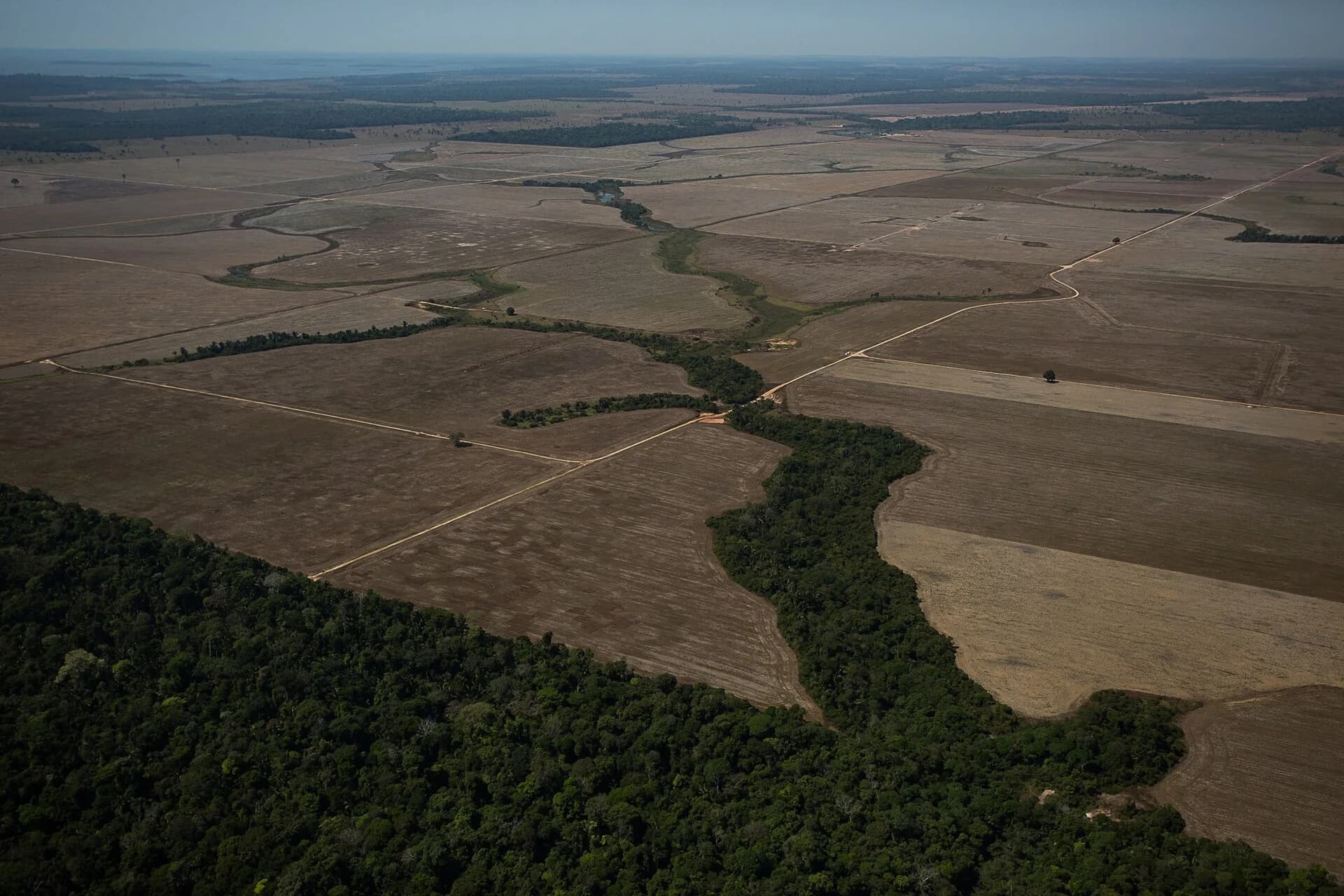 Aerial photo of the edge of the Amazon rainforest in Rondônia, Brazil, in 2020: dense forest in the foreground and cleared farmland with straight tracks stretching to the horizon.