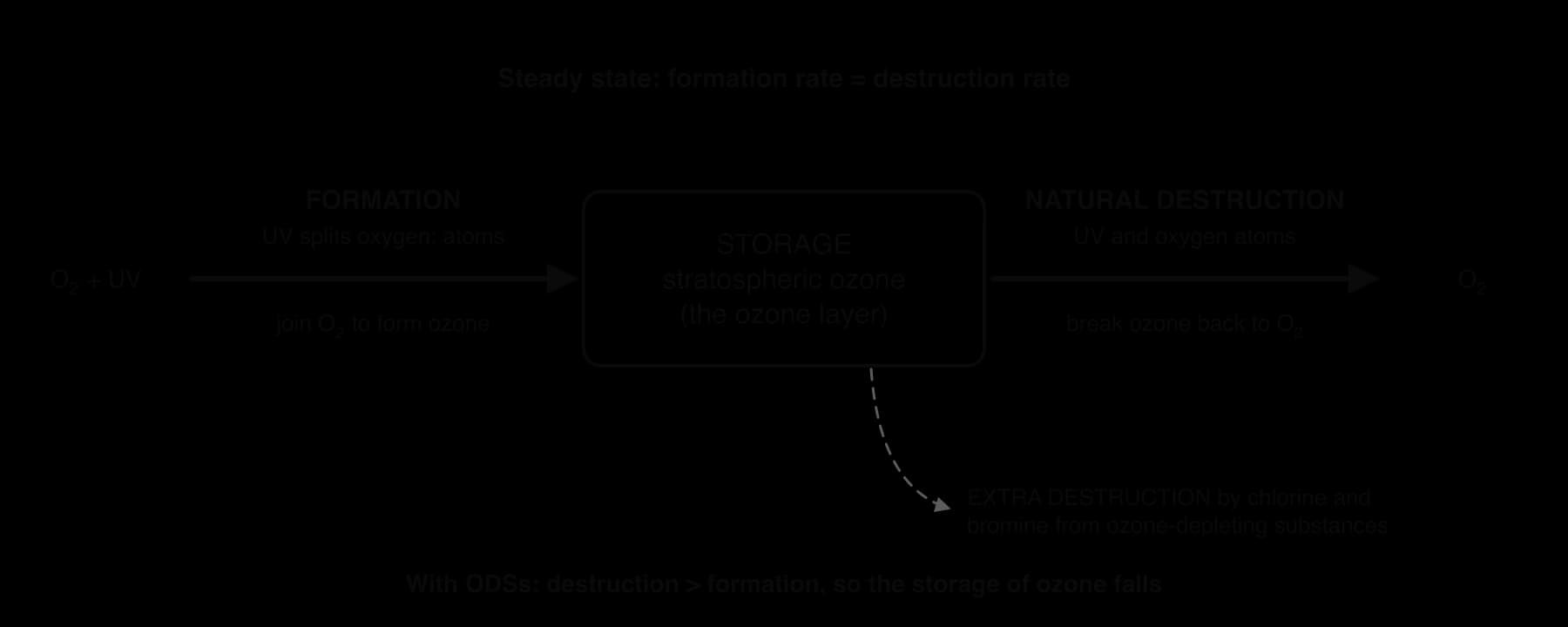 Systems diagram: a storage of stratospheric ozone with an inflow labelled formation (UV splits oxygen and atoms join O2) and an outflow labelled natural destruction; a dashed extra outflow shows destruction by chlorine and bromine from ozone-depleting substances.