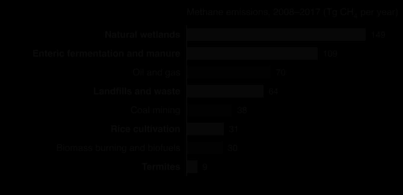 Bar chart of methane emissions 2008-2017 in Tg per year: wetlands 149, enteric fermentation and manure 109, oil and gas 70, landfills and waste 64, coal 38, rice 31, biomass burning 30, termites 9. Methanogen sources shaded dark.