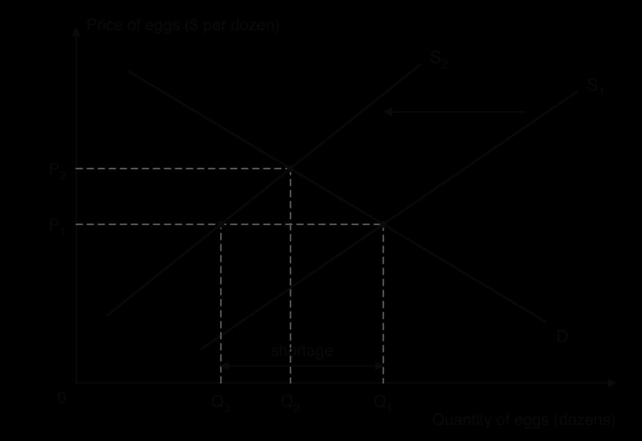 Egg market. Supply shifts left from S1 to S2 with demand D unchanged. At the old price P1 only Q3 is supplied against Q1 demanded, marked as a shortage. The new equilibrium is at the higher price P2 and the lower quantity Q2.