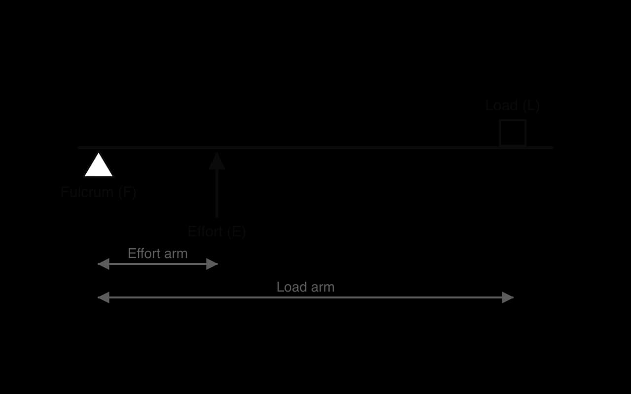Lever diagram: a horizontal bar with the fulcrum (F) at the left end, the effort (E) acting upwards a short distance from the fulcrum and the load (L) at the far right end. The effort arm is short and the load arm is long.