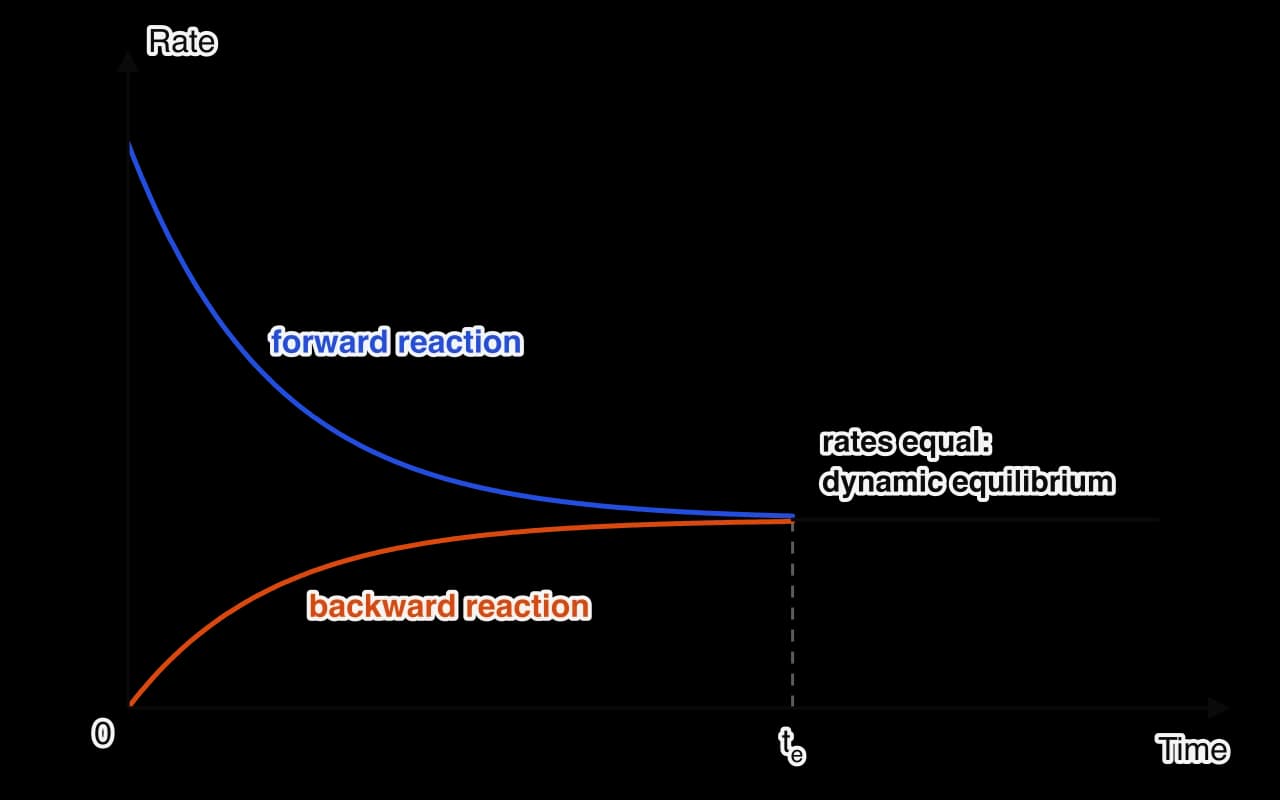Graph of rate against time. The rate of the forward reaction (blue) starts high and falls; the rate of the backward reaction (orange) starts at zero and rises. They meet at time t_e and continue as one horizontal line labelled rates equal: dynamic equilibrium.