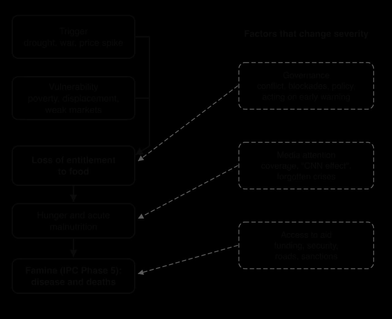 Famine cause chain: trigger (drought, war, price spike) and vulnerability (poverty, displacement, weak markets) lead to loss of entitlement, hunger and acute malnutrition, then famine. Governance, media attention and access to aid change severity.
