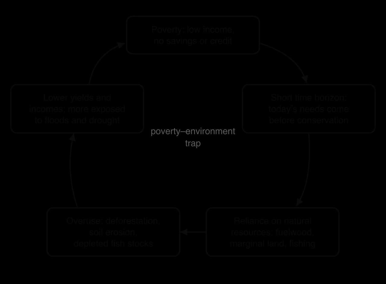 Cycle diagram: poverty (low income, no savings or credit) leads to a short time horizon, then reliance on natural resources, then overuse (deforestation, soil erosion, depleted fish stocks), then lower yields and incomes, and back to poverty.