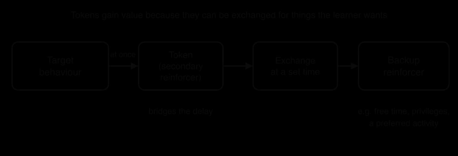 Flow diagram: target behaviour earns a token at once; the token, a secondary reinforcer, bridges the delay; tokens are exchanged at a set time for a backup reinforcer such as free time, privileges or a preferred activity.