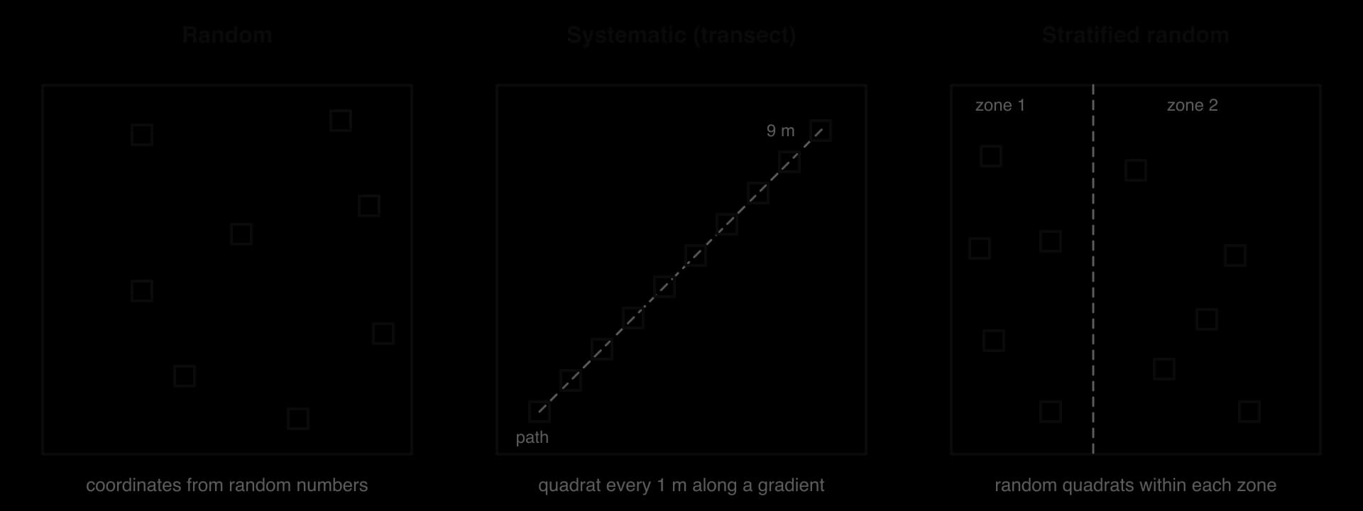 Three sampling designs: random quadrats at random coordinates; a systematic transect with a quadrat every 1 m from a path to 9 m; and stratified random sampling with random quadrats inside each of two zones.