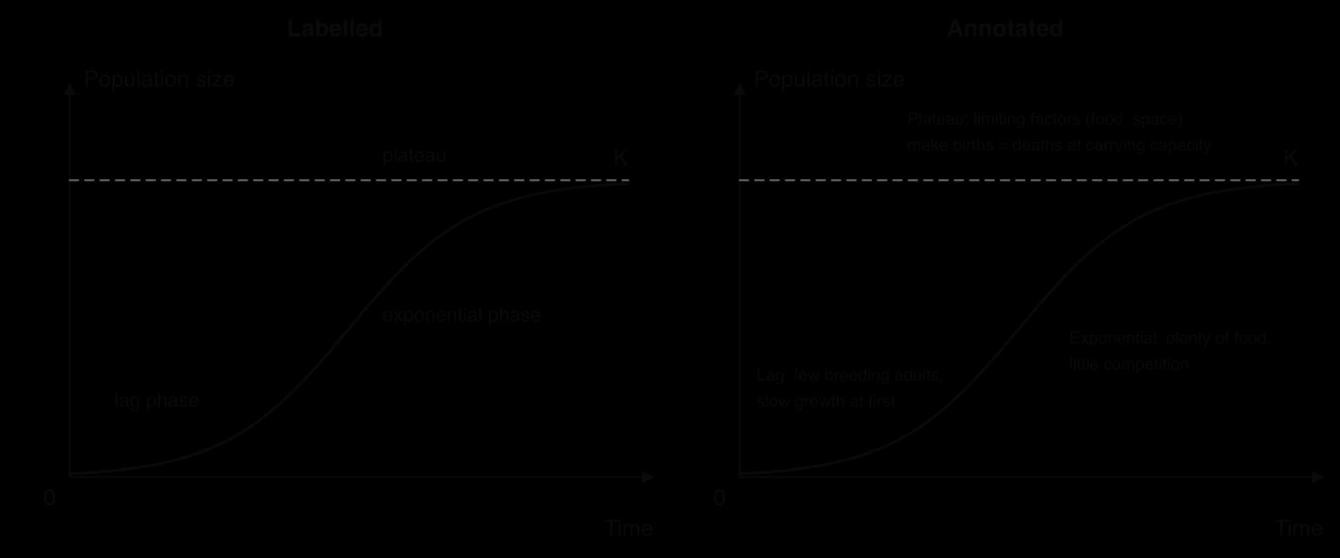 Two S-shaped population curves levelling at carrying capacity K. Left, labelled with names only: lag phase, exponential phase, plateau. Right, annotated with reasons: few breeding adults; plenty of food, little competition; limiting factors make births equal deaths.
