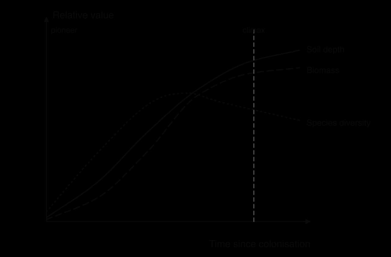 Model graph against time since colonisation: soil depth and biomass rise in an S-shape and level off near climax; species diversity rises quickly, peaks in mid-late succession and then declines slightly by the climax.