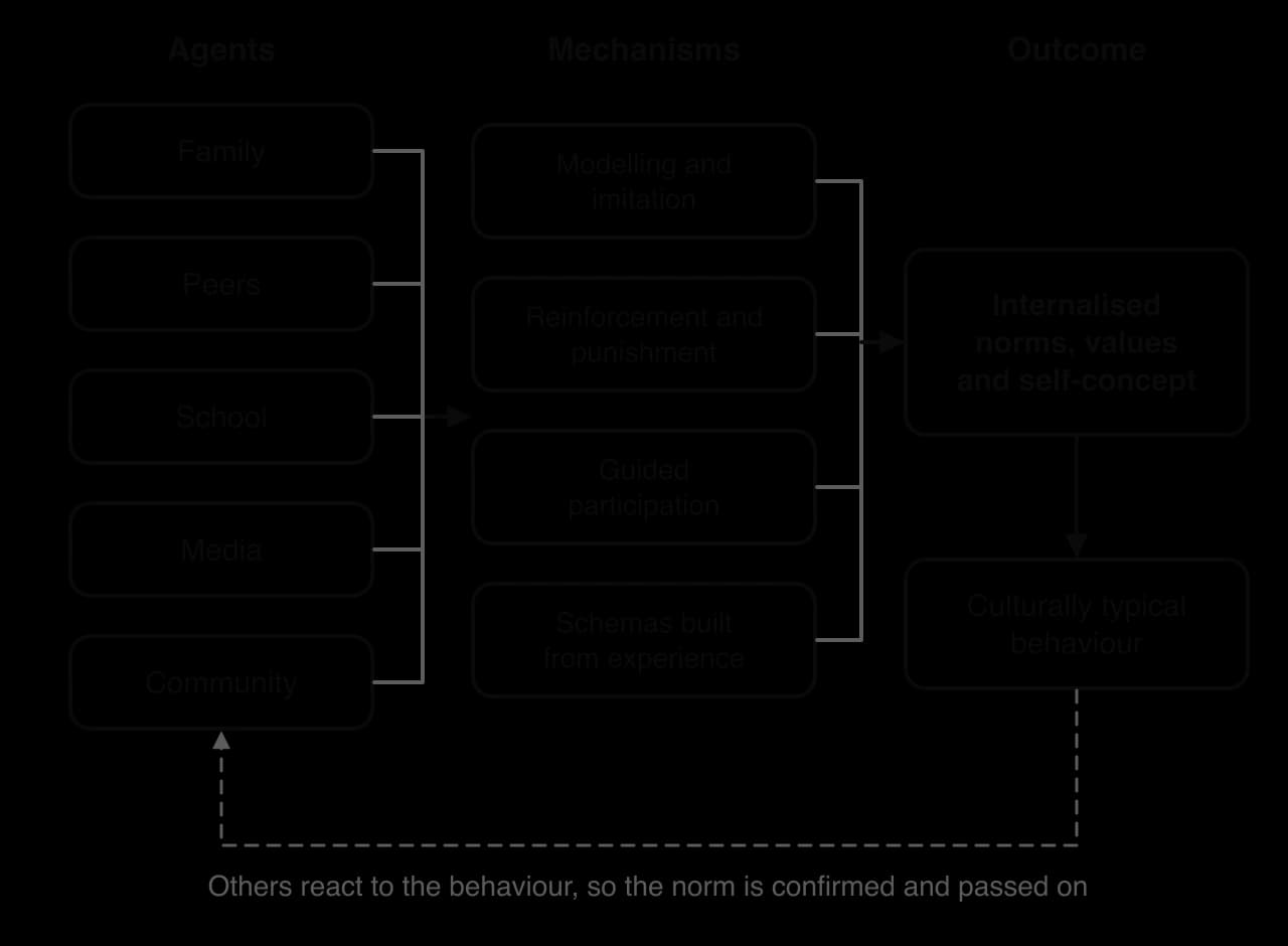 Flow chart: agents (family, peers, school, media, community) feed four mechanisms (modelling, reinforcement, guided participation, schemas), leading to internalised norms and self-concept, then culturally typical behaviour, with a feedback arrow back to the agents.